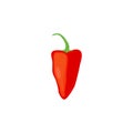 Piquillo pepper or chili pepper. Pimiento pepper.